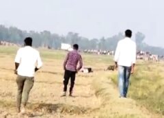 तेंदुए ने किया हमला,06 किसान घायल